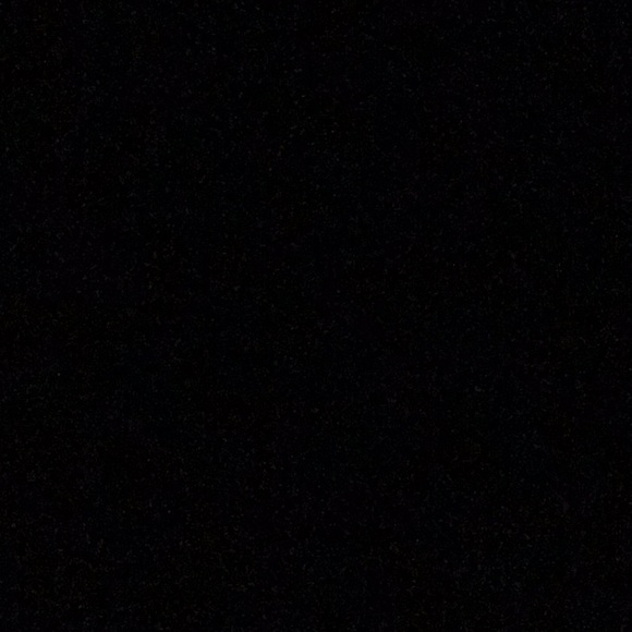 Meet your Posher, Dash - Picture 1 of 1